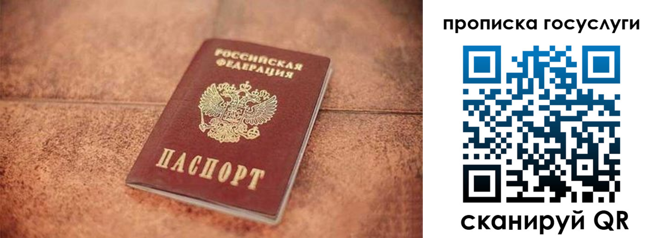 прописка законно в Выксе